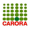 Logo Central Carora